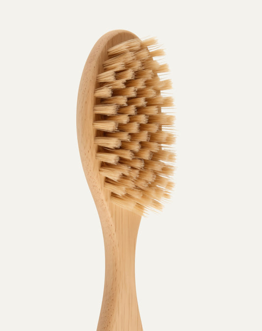 Long Handle Bath Brush